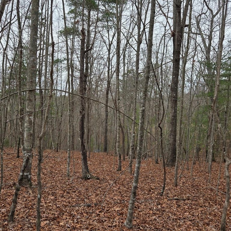 Picture 28