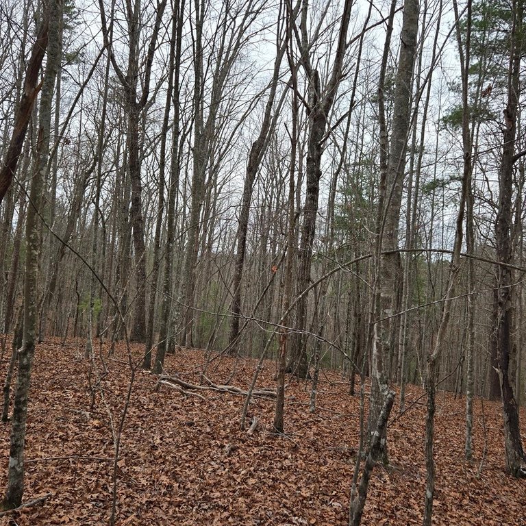 Picture 29