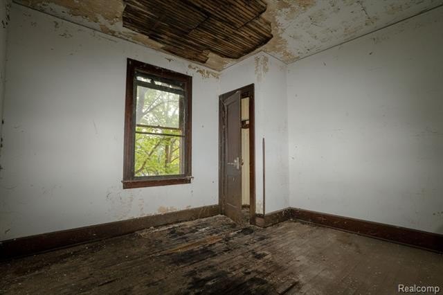 Picture 10