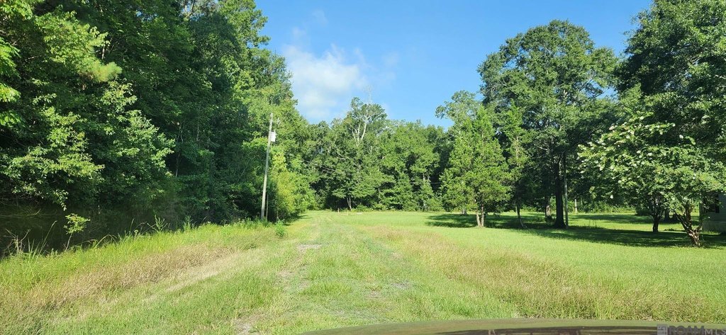 Picture 4