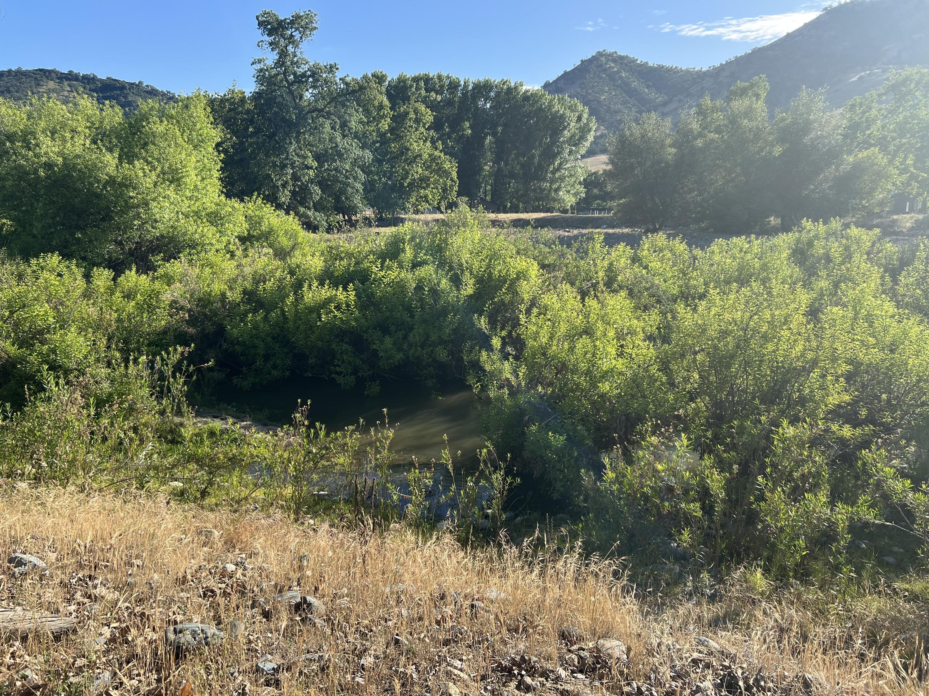 Undeveloped Land with Creek Access