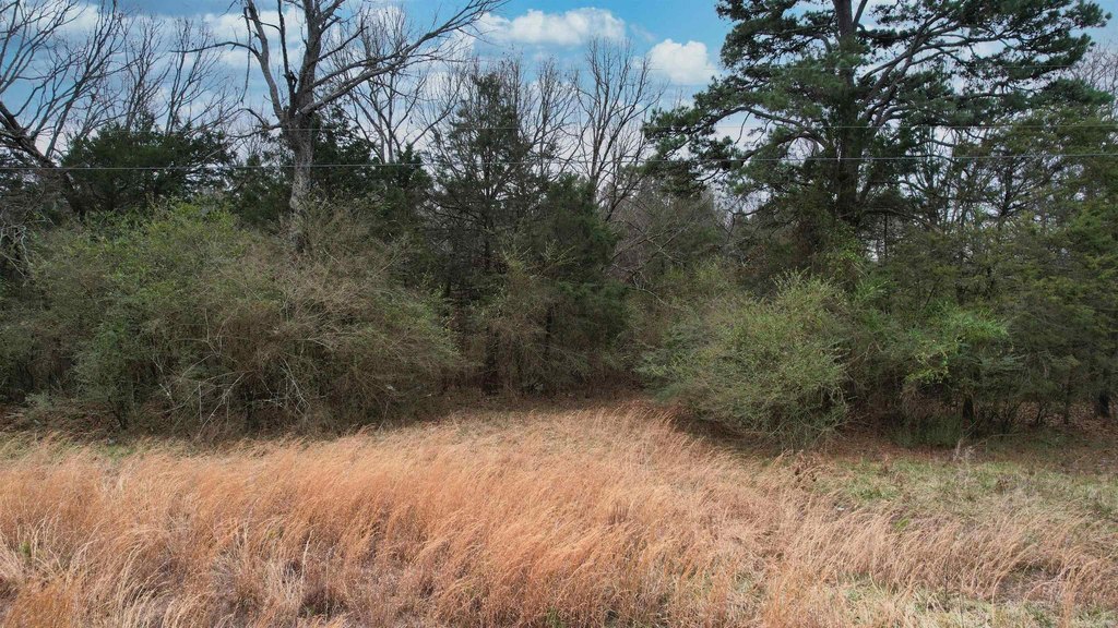 Picture 30