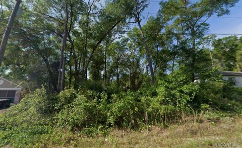 Land, Inverness, FL