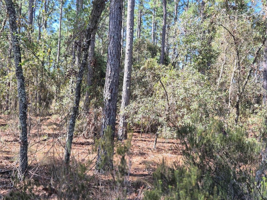 Picture 7