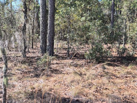 One-Acre Residential Lot