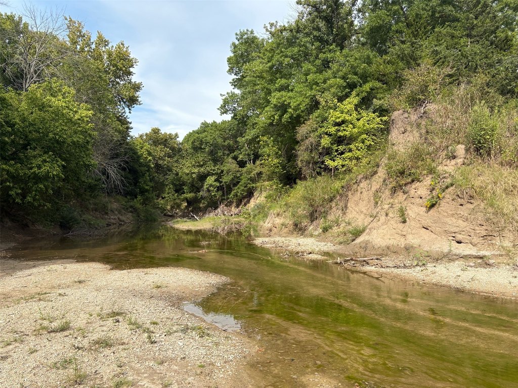 Picture 13