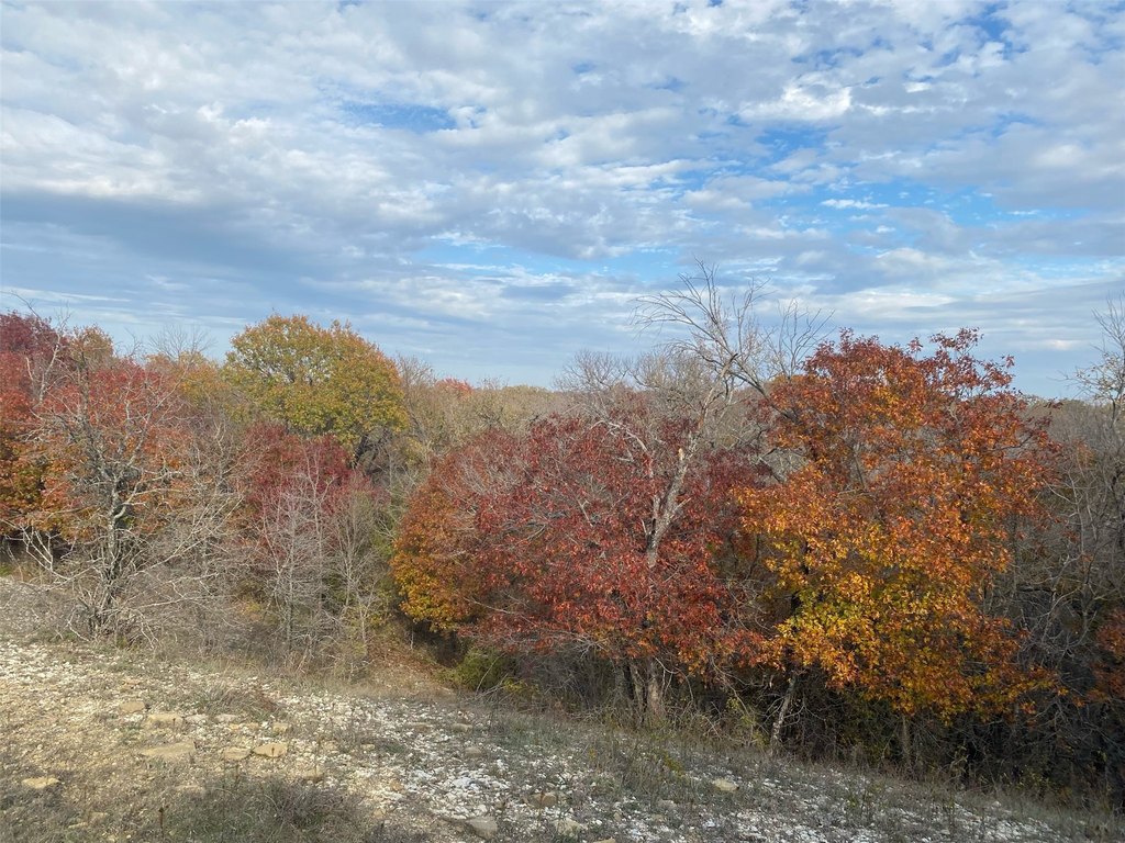 Picture 22