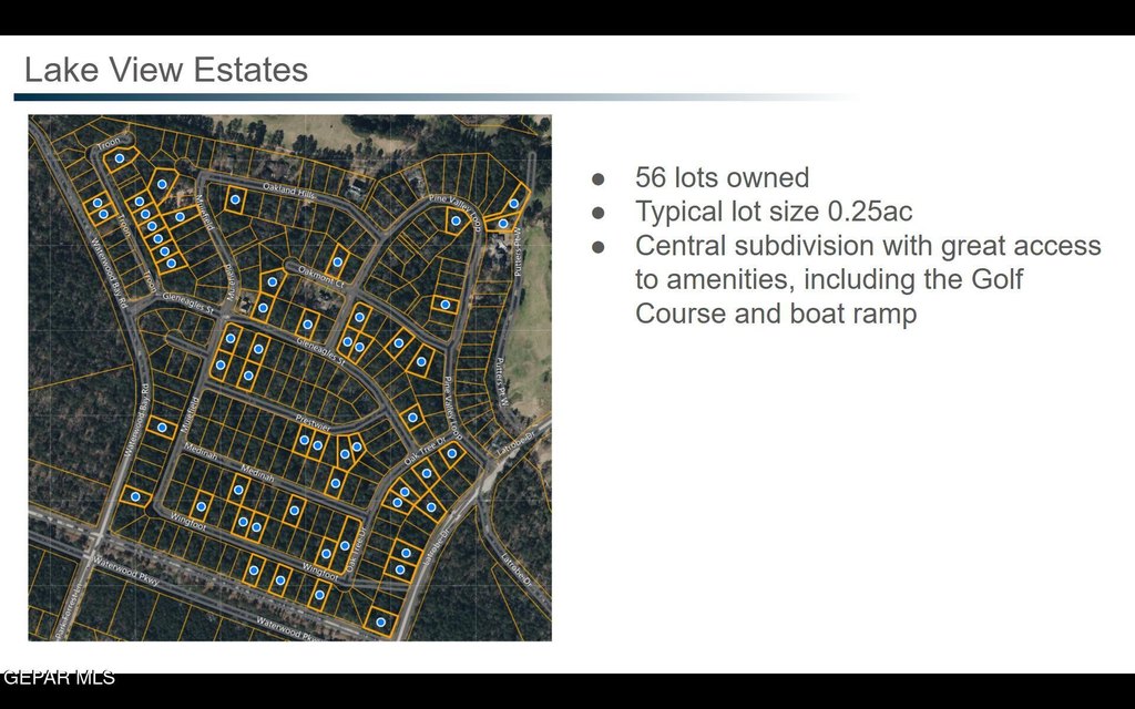 Picture 7