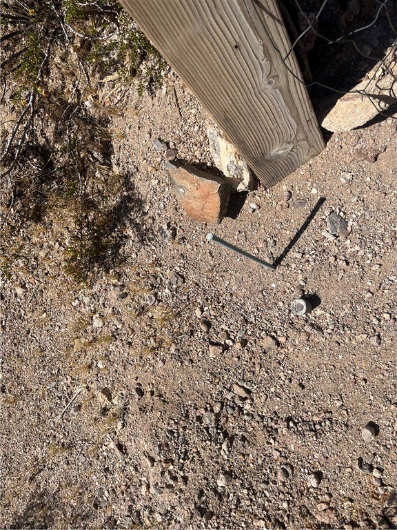 Picture 15
