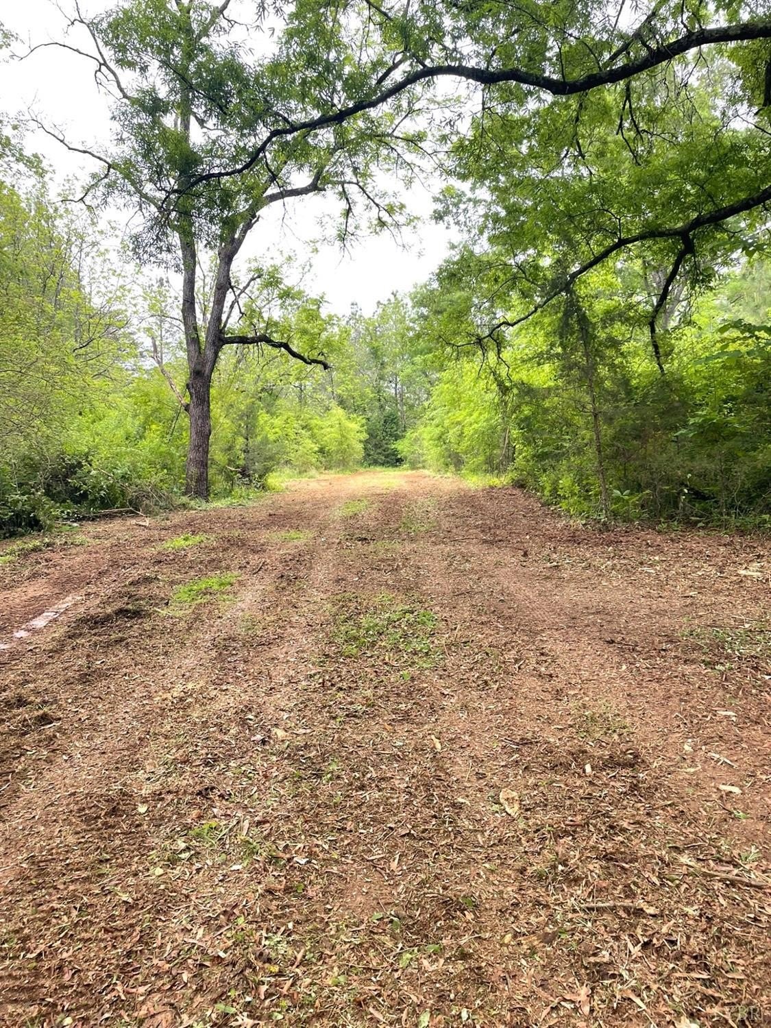 Land with Timber Value