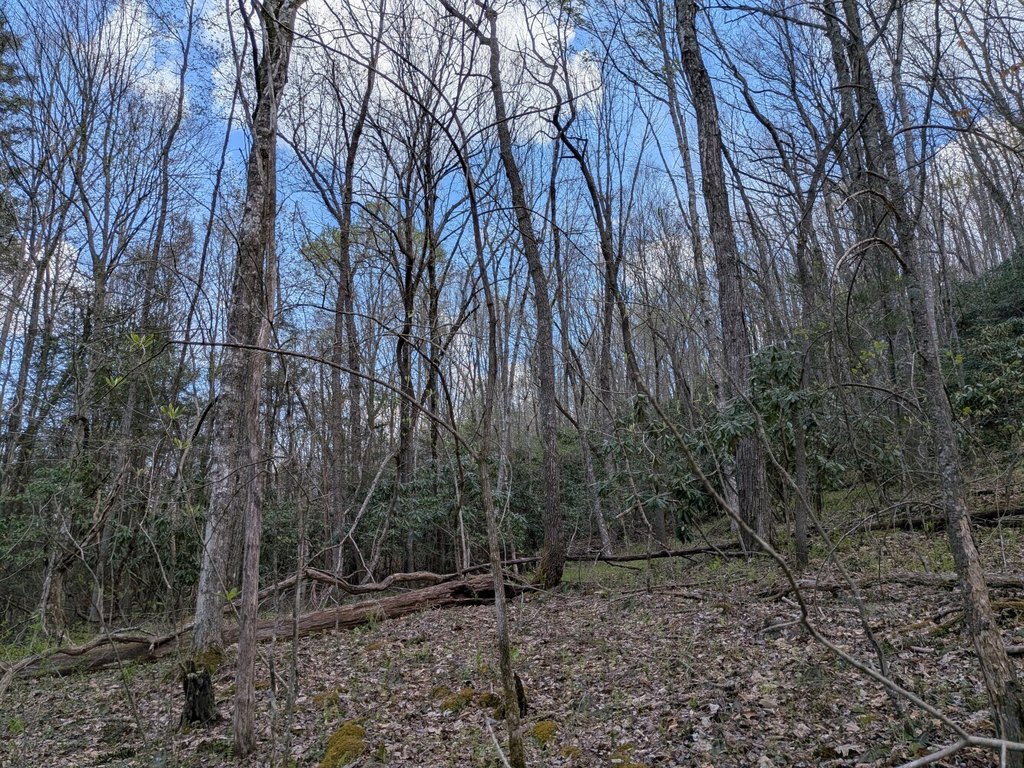 Picture 9