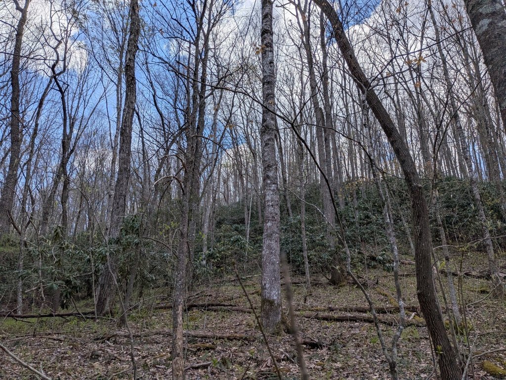 Picture 8