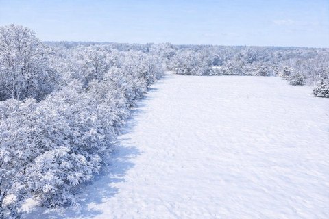 Picturesque Land in Paw Paw