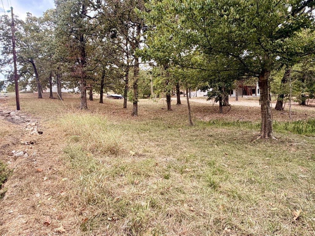 Picture 4