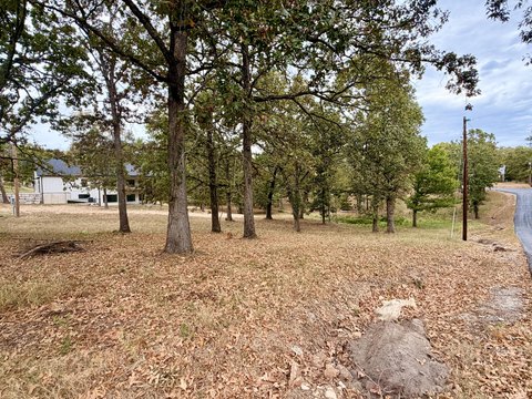 Land, Blue Eye, MO