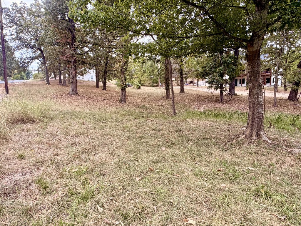 Picture 3