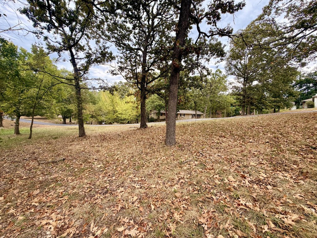 Picture 6