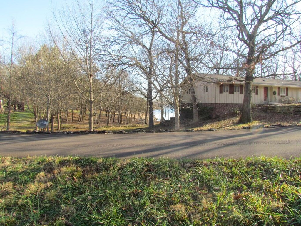 Picture 7