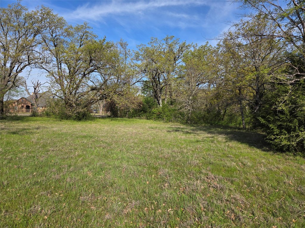 Picture 17