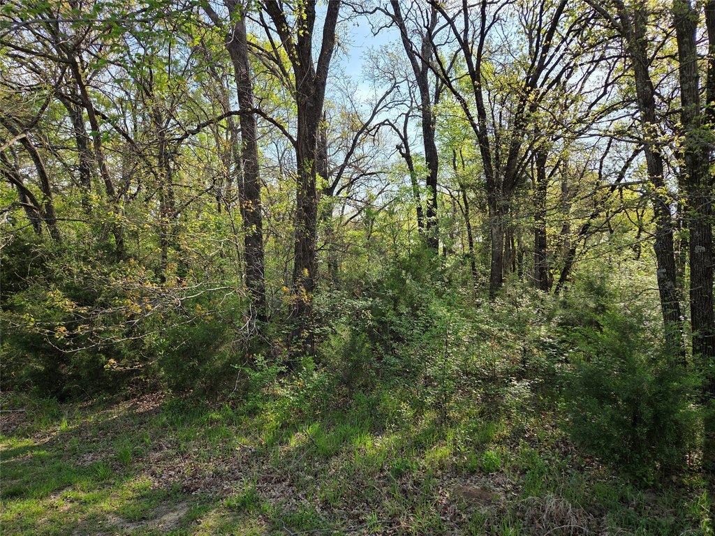 Picture 23