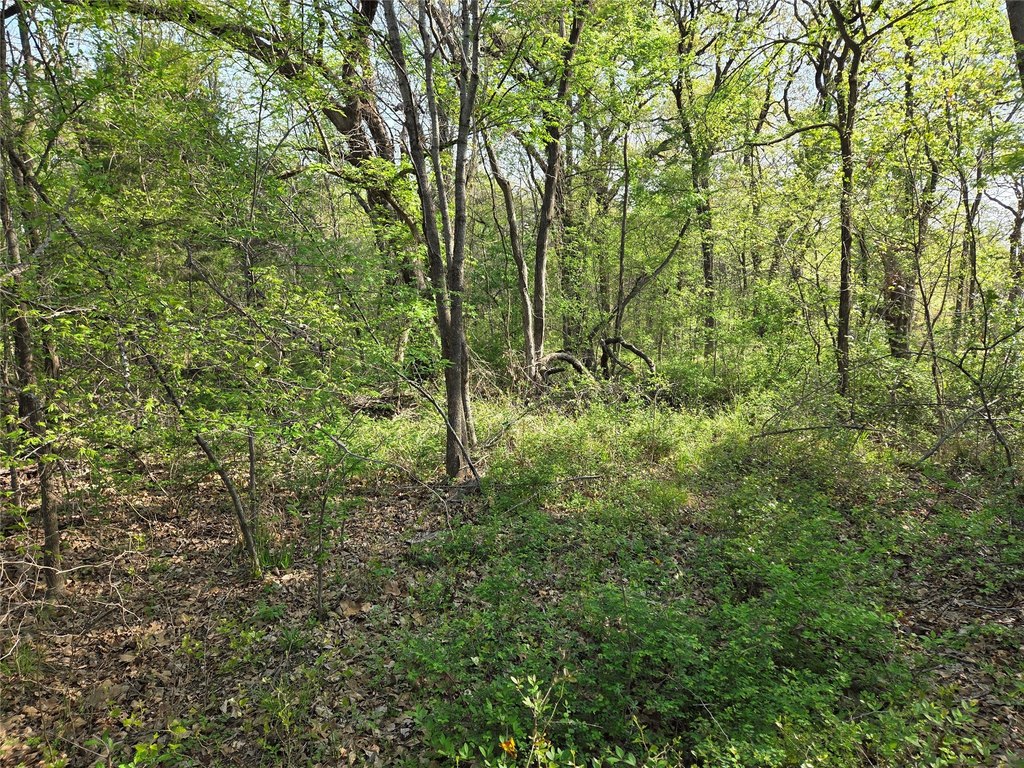 Picture 31