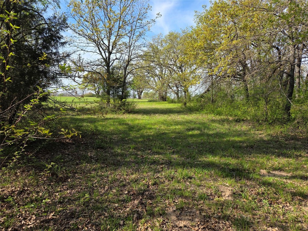 Picture 28