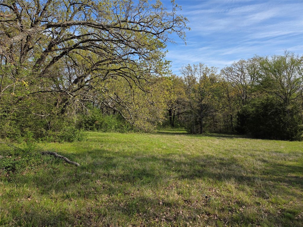 Picture 11
