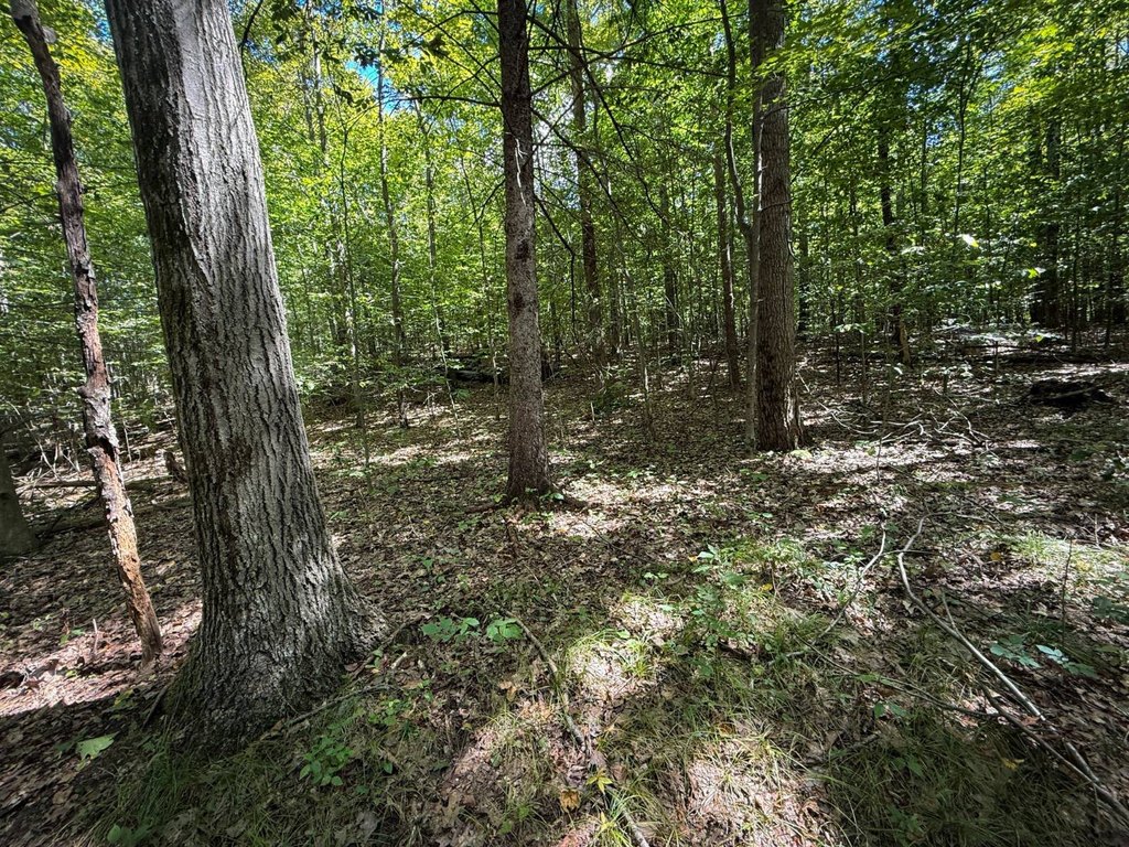 Picture 10