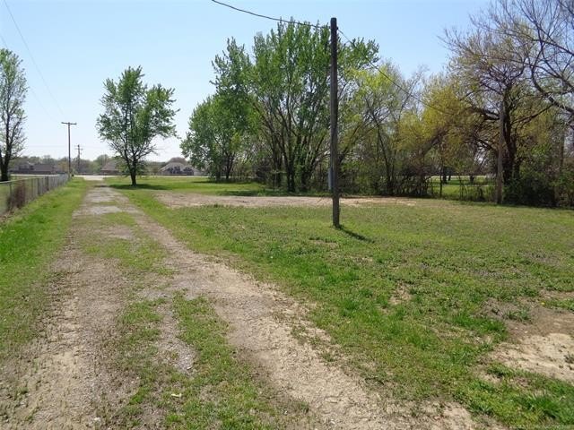 Picture 5