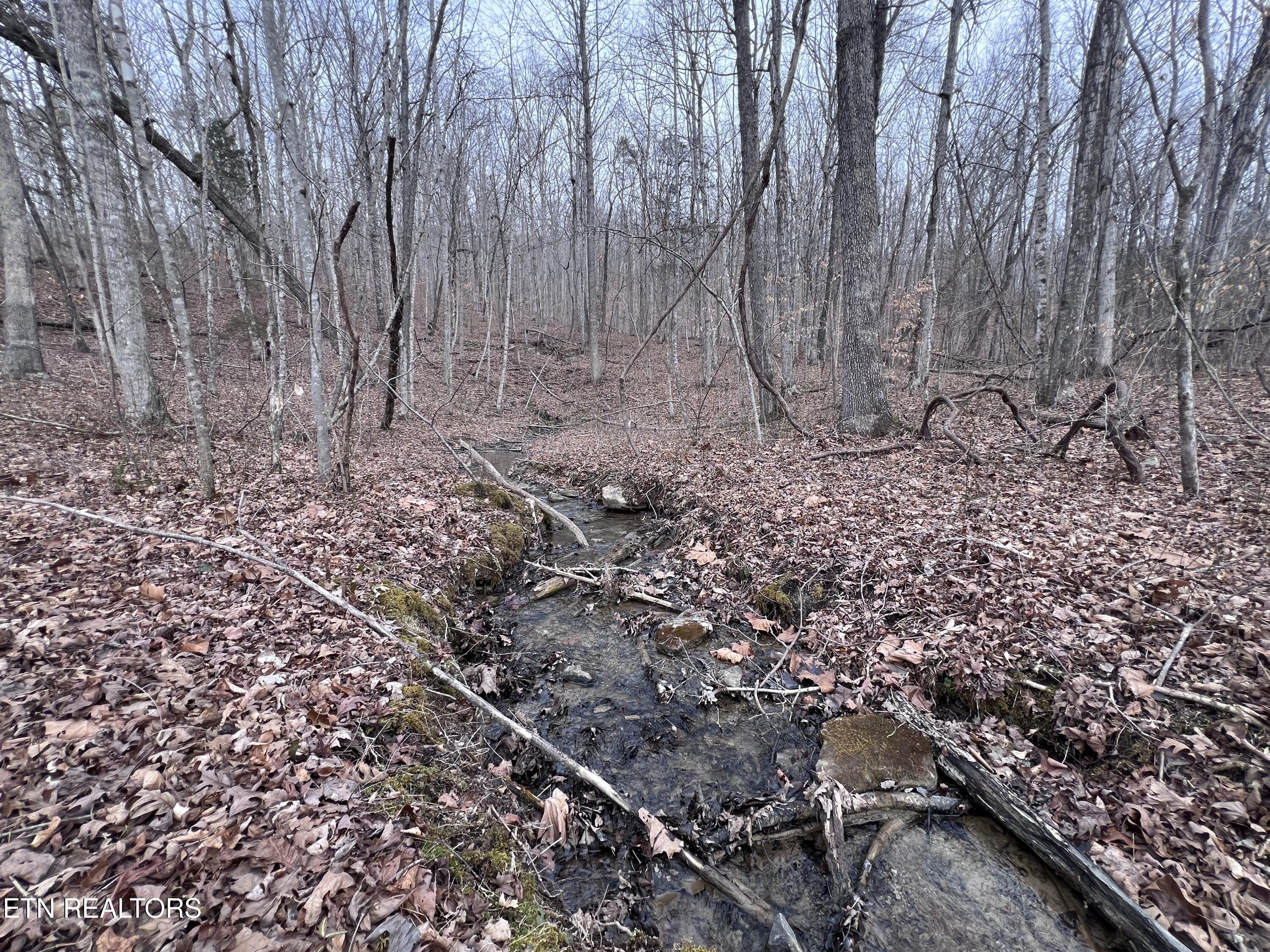 5.16 Acres Wooded Land