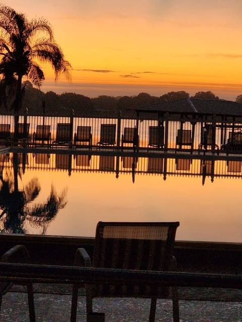 Picture 29