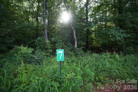 Land in Peter Hawk Creek