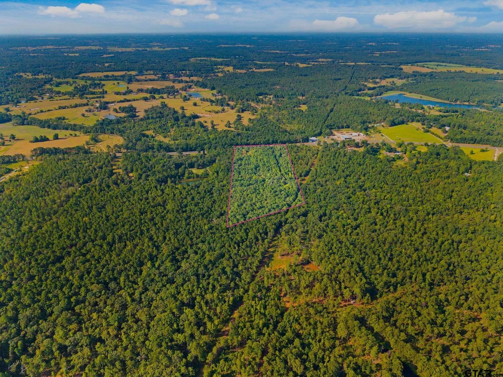 Picture 13