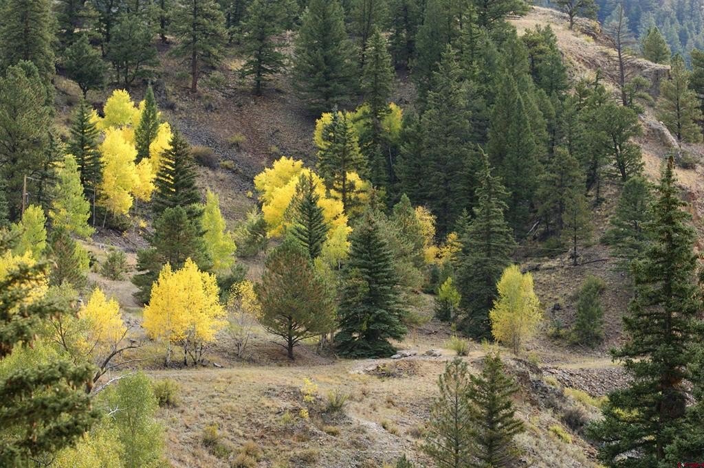 Picture 8