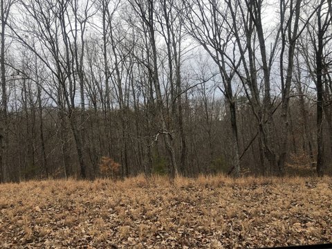 LAND - Waverly, TN