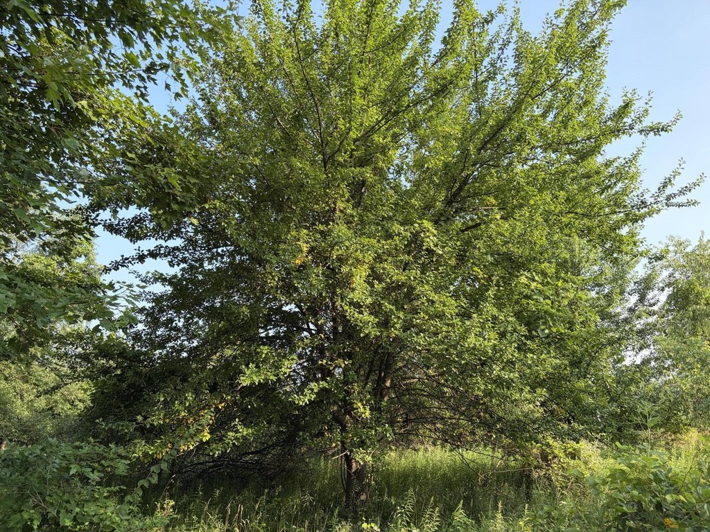 Picture 16