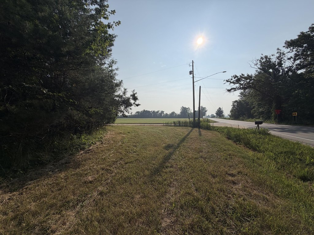 Picture 20