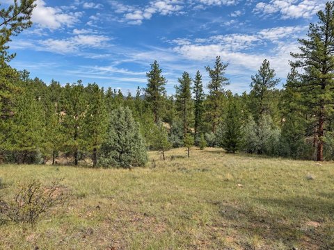 Vacant Land, Cotopaxi, CO