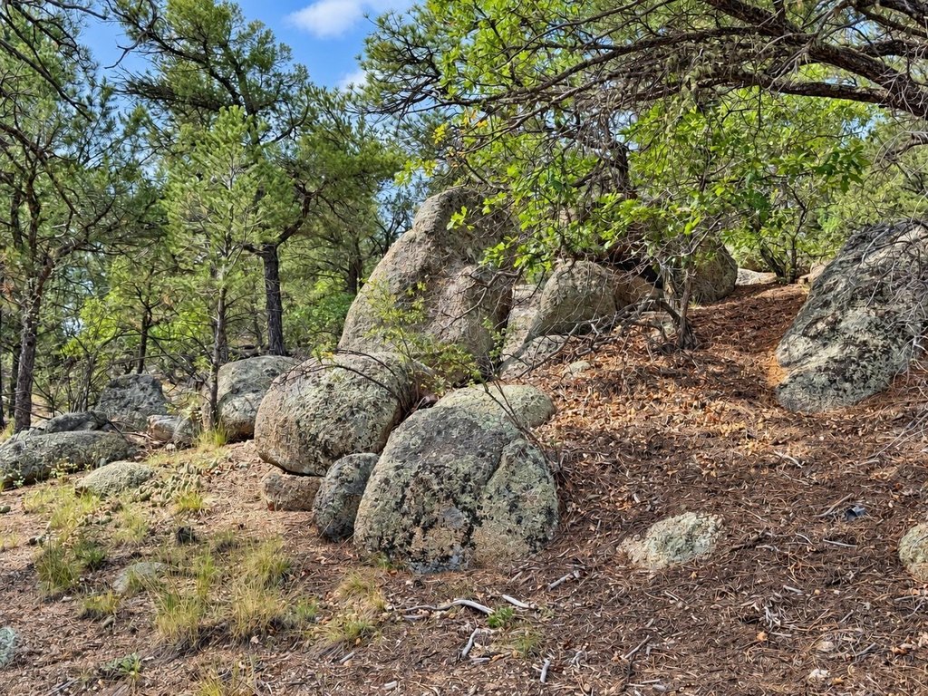 Picture 25