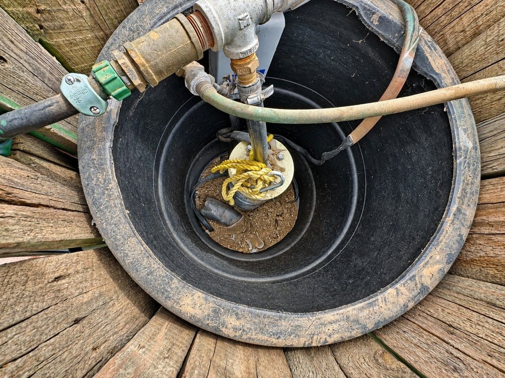 Picture 15