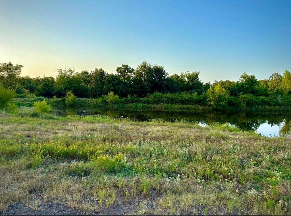 Picture 10