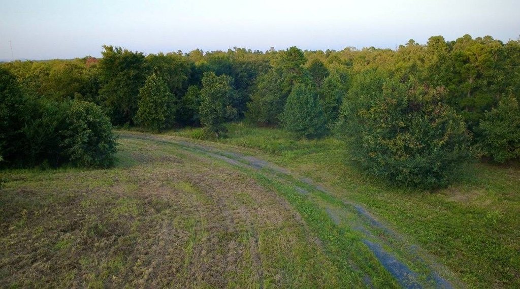 Picture 27