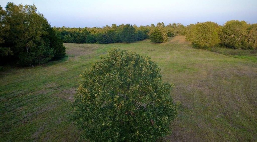 Picture 23