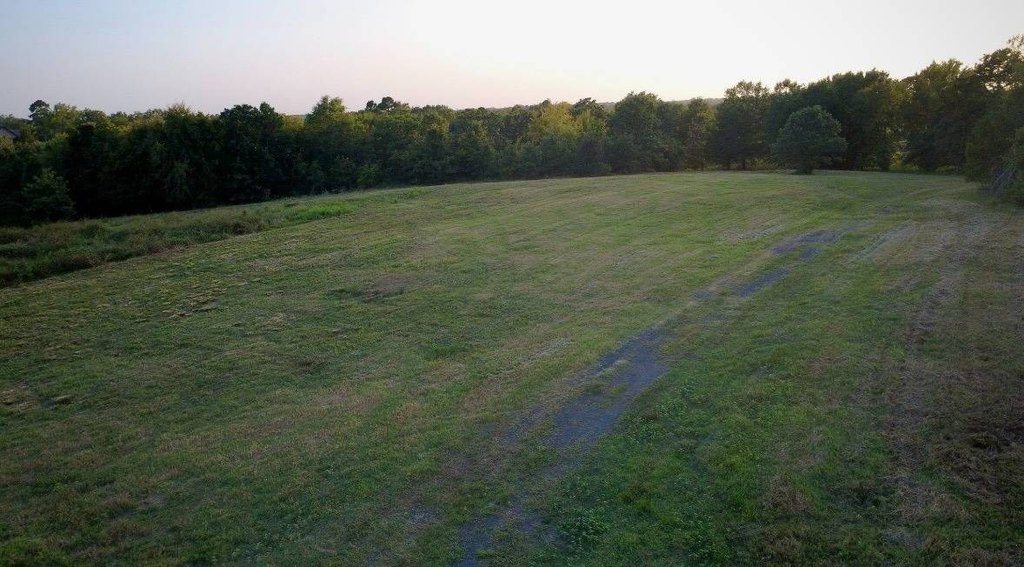 Picture 25