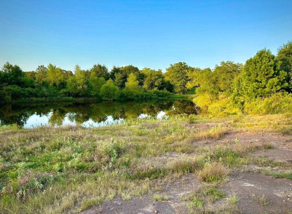 Picture 8