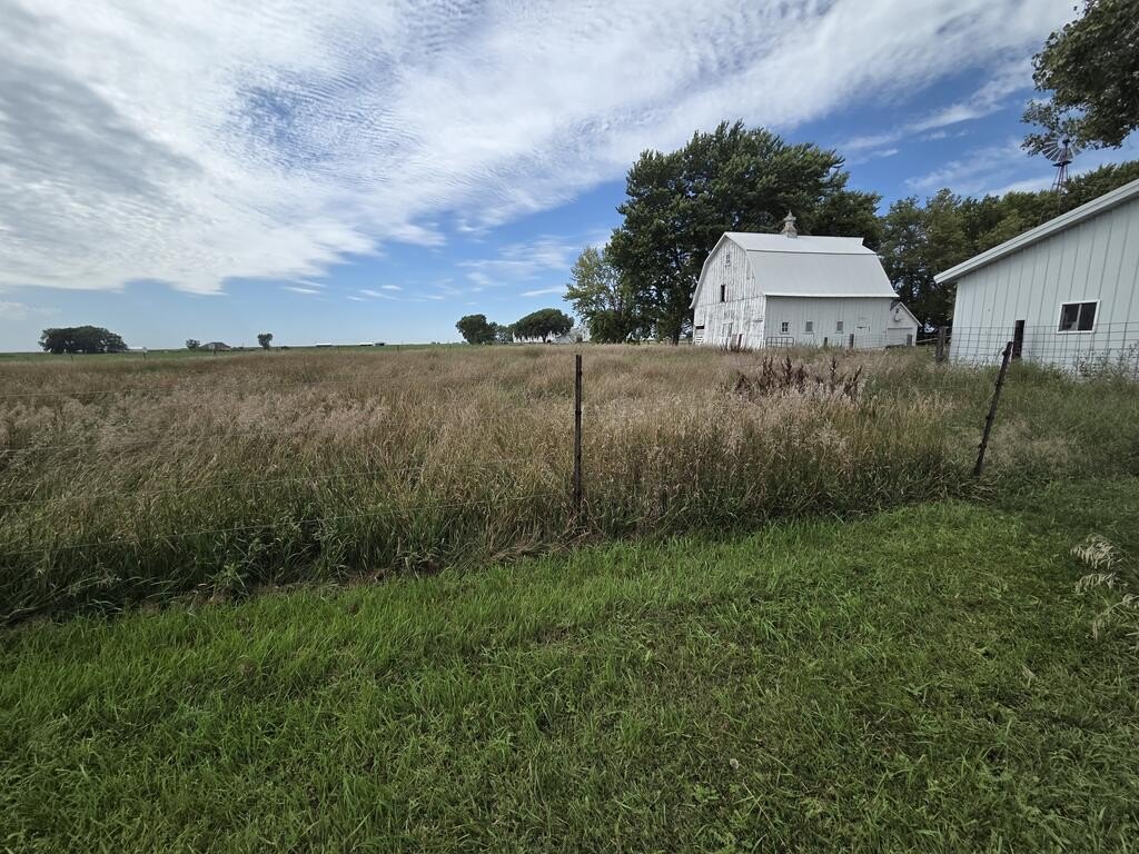 Picture 6