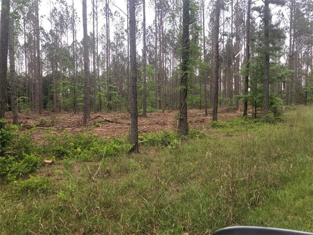 Residential Land in Iva, SC