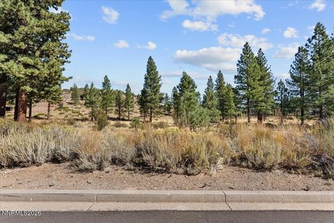 Land, Reno, NV