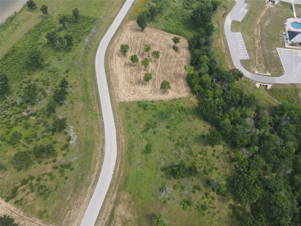 Picture 25