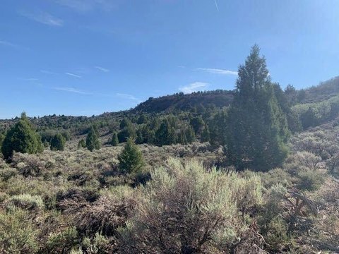 20 Acres in Long Valley